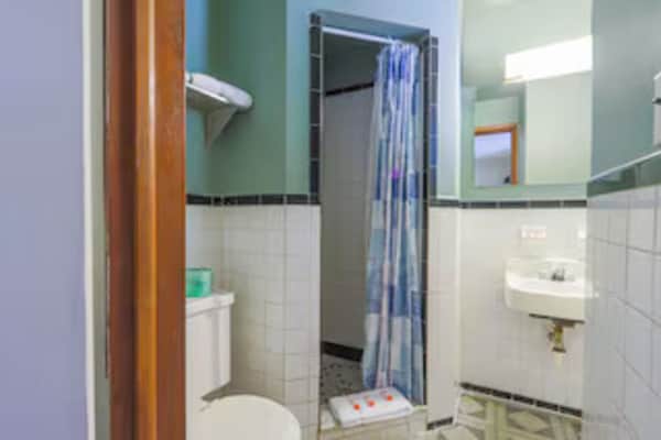Foto van Beaver WV | Kingsize bed | Rookvrij - Vakantiehuis in Beaver WV - BathRoom