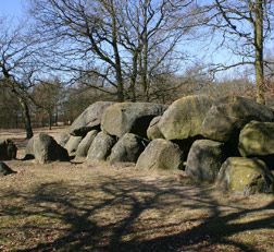 Vakantie met hond in Drenthe