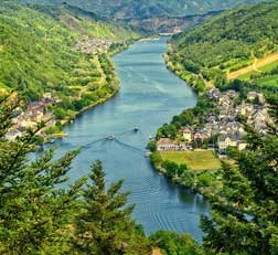 Vakantie met hond in de Moezel